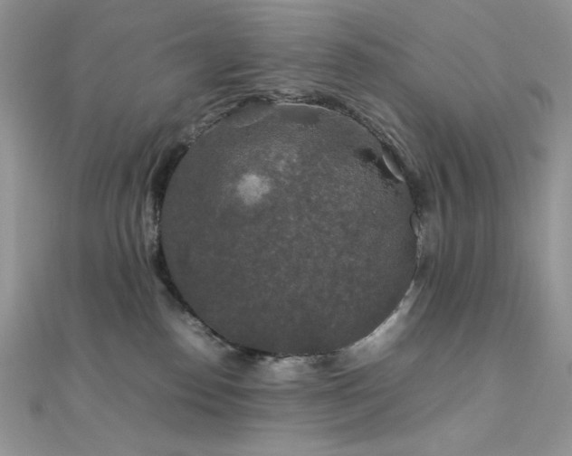 X0000112010186200908031314