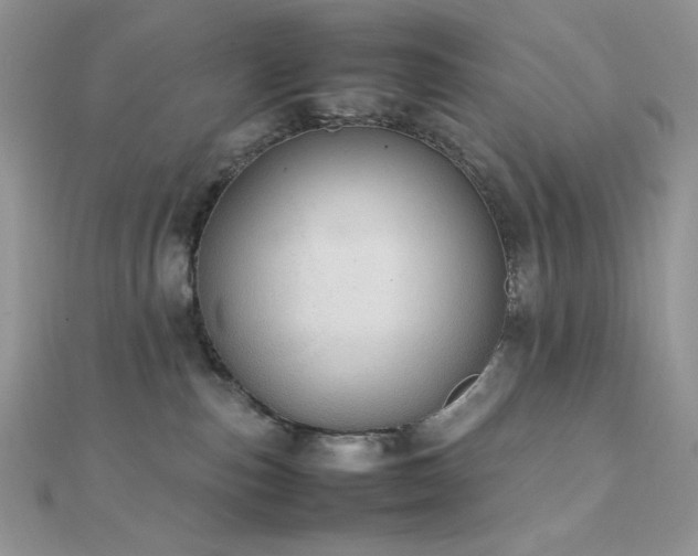 X0000112010187200908031314