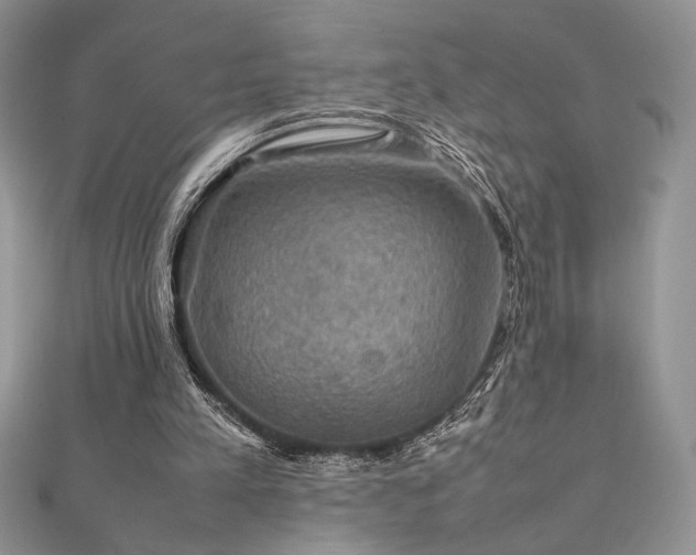 X0000112010197200908031313