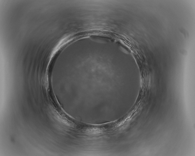 X0000112010198200908031313