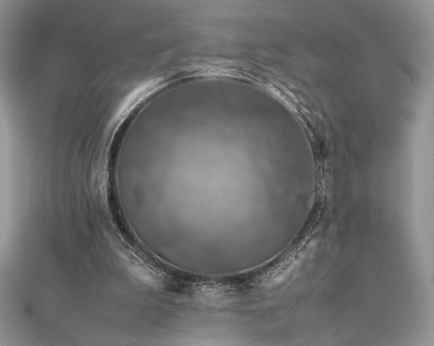 X0000112010199200908031313