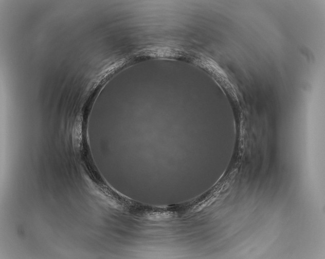 X0000112010202200908031313