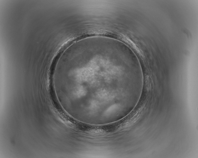 X0000112010203200908031313