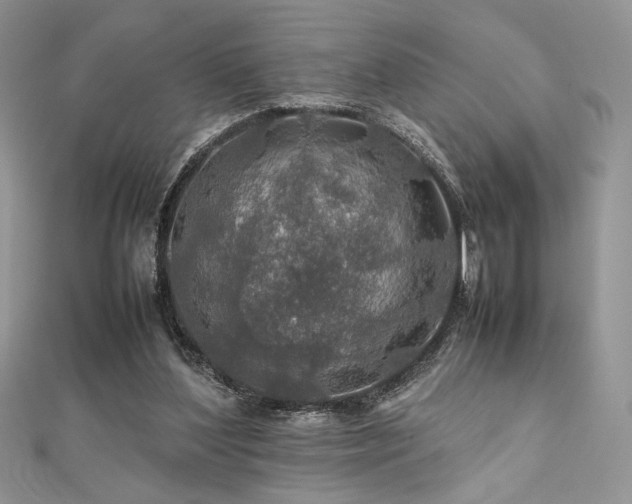 X0000112010204200908031313