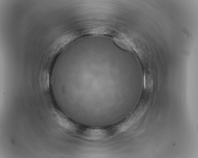 X0000112010205200908031313