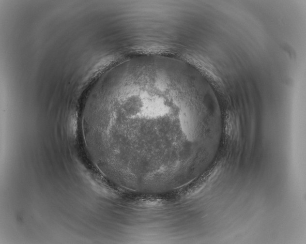 X0000112010206200908031313