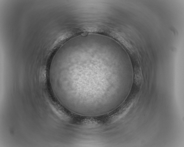 X0000112010207200908031313