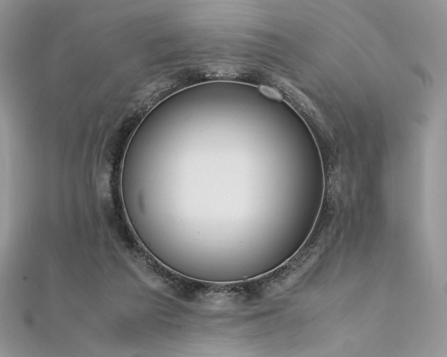 X0000112010209200908031313