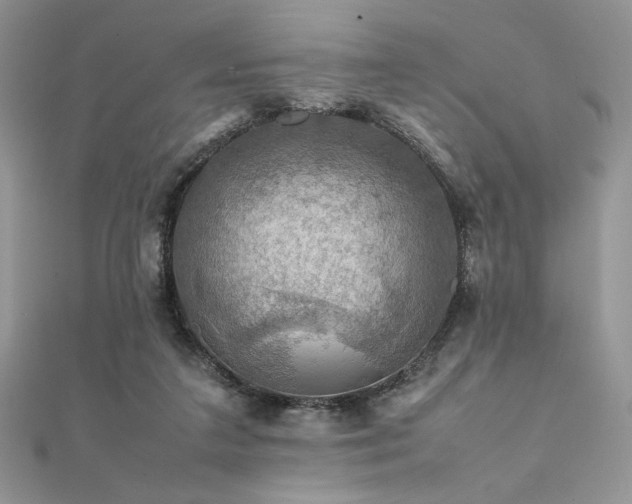 X0000112010211200908031313