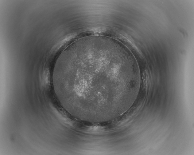 X0000112010212200908031313