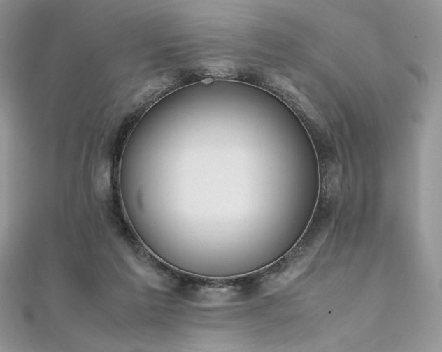 X0000112010213200908031313