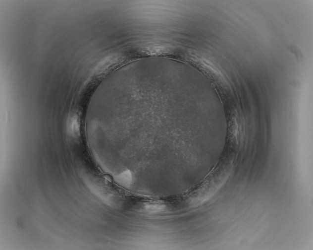 X0000112010214200908031313