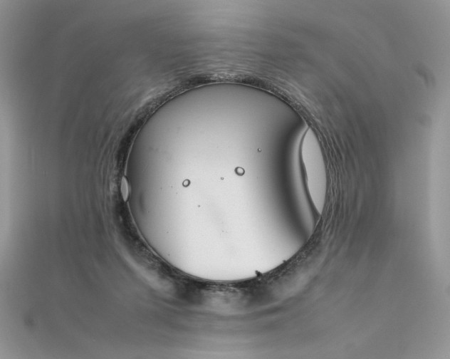 X0000112010215200908031313