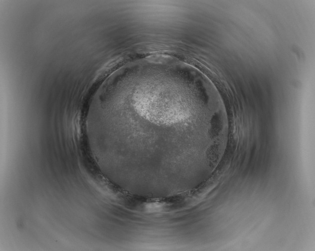 X0000112010216200908031313