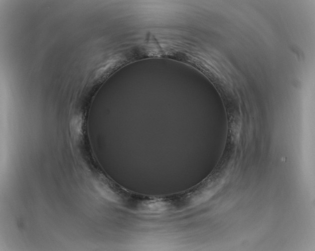 X0000112010219200908031313