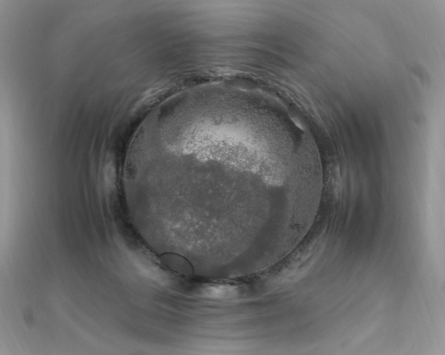 X0000112010220200908031313