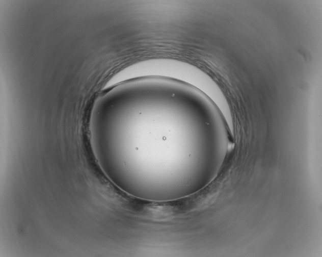 X0000112010221200908031313