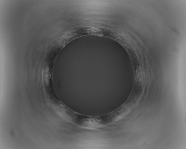 X0000112010223200908031313