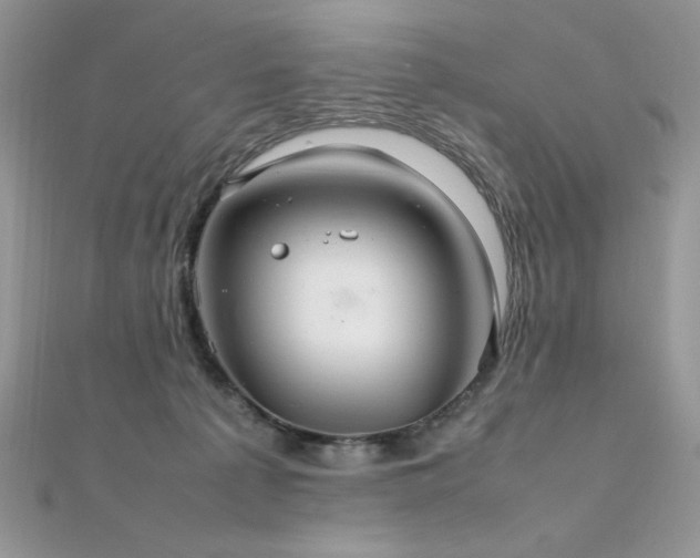 X0000112010225200908031313