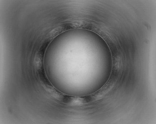 X0000112010226200908031313