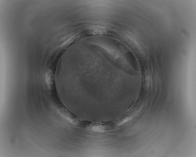 X0000112010228200908031313