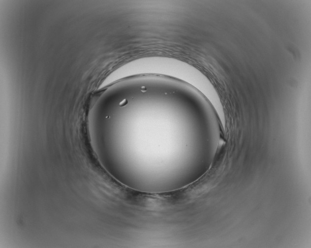 X0000112010229200908031313