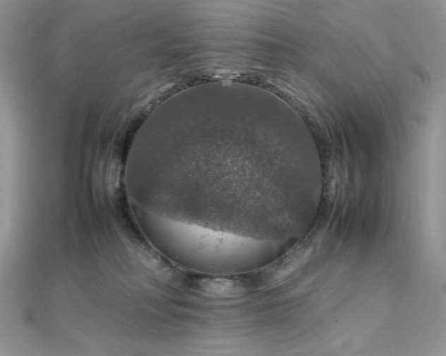 X0000112010230200908031313