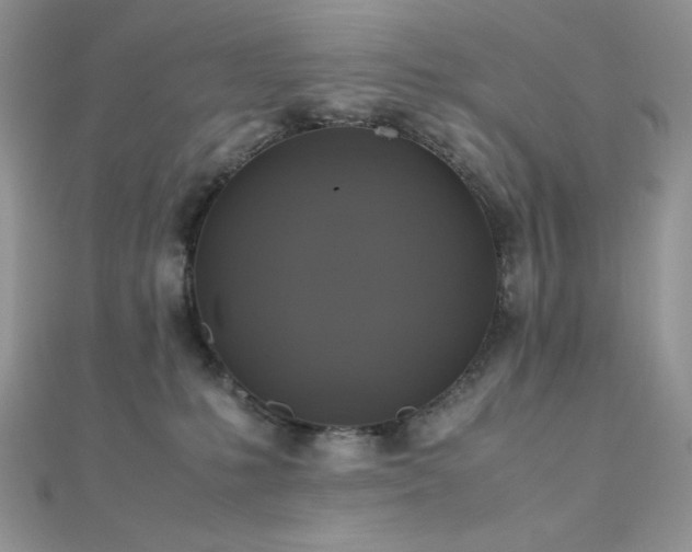 X0000112010231200908031313