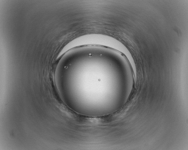 X0000112010233200908031313