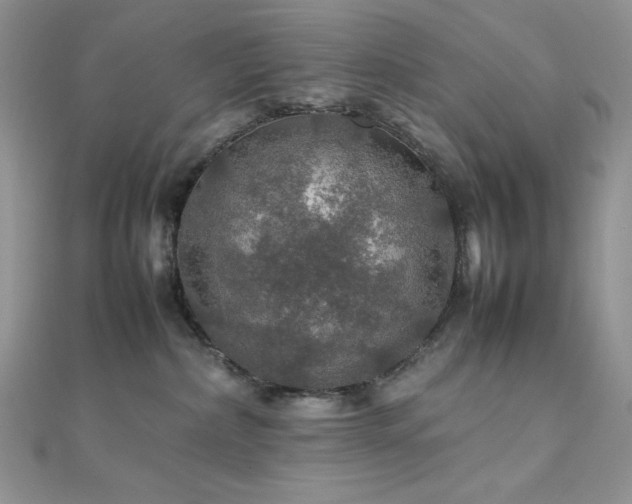 X0000112010236200908031313