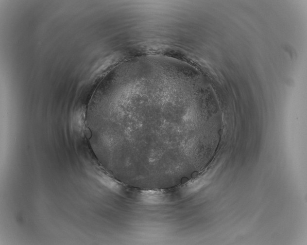 X0000112010240200908031313