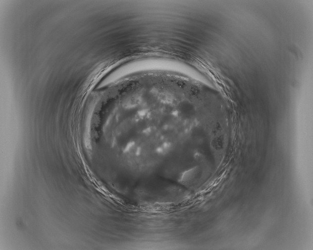 X0000112010241200908031312