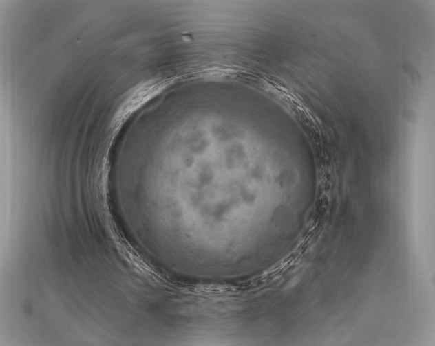 X0000112010242200908031312