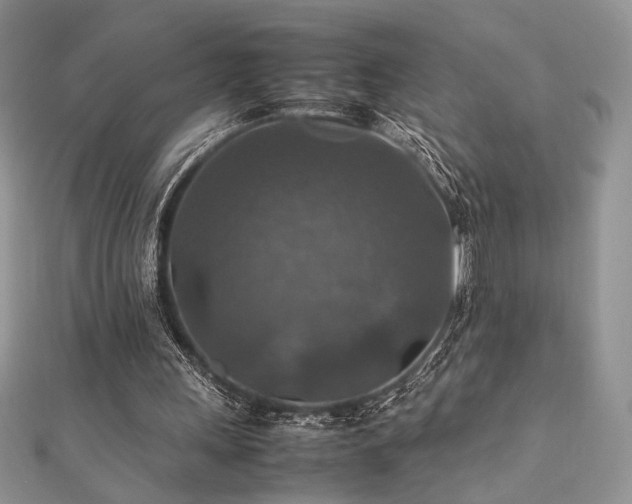 X0000112010243200908031312