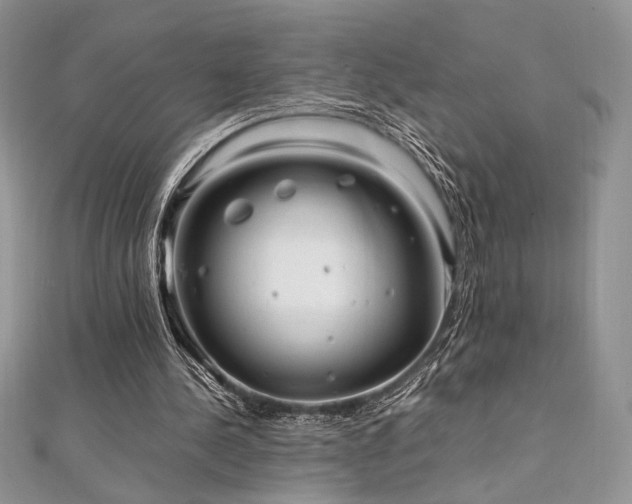 X0000112010244200908031312