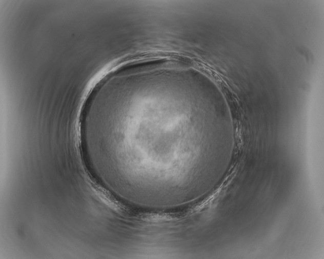 X0000112010246200908031312