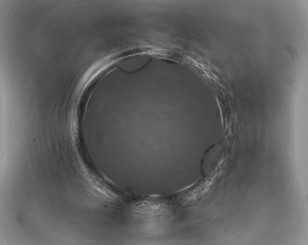 X0000112010247200908031312