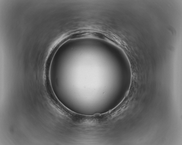 X0000112010248200908031312