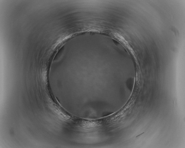 X0000112010249200908031312