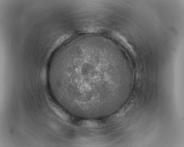 X0000112010250200908031312