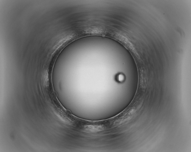 X0000112010251200908031312