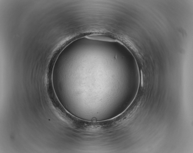 X0000112010252200908031312