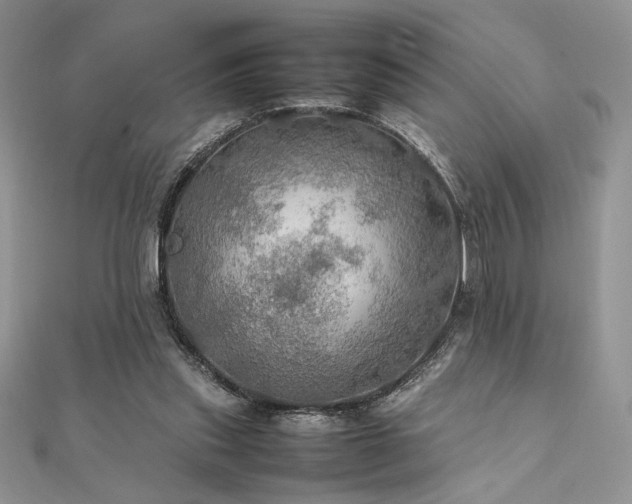 X0000112010253200908031312