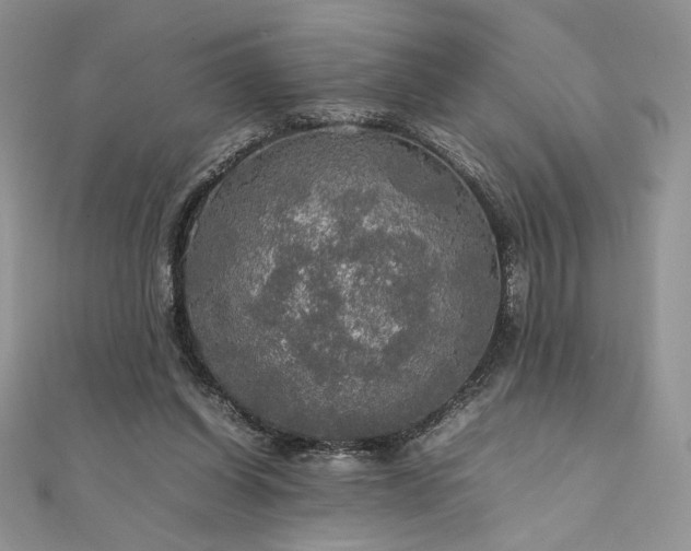 X0000112010254200908031312