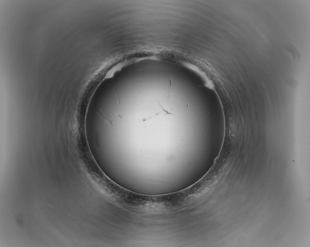 X0000112010256200908031312