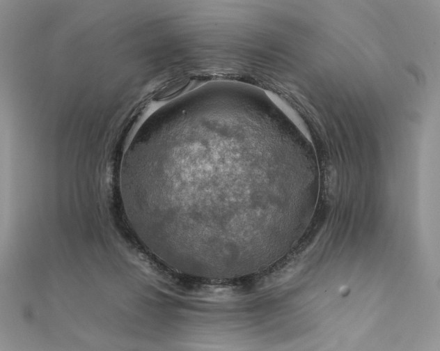 X0000112010260200908031312