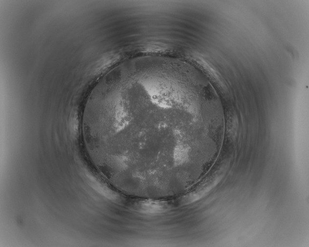 X0000112010261200908031313