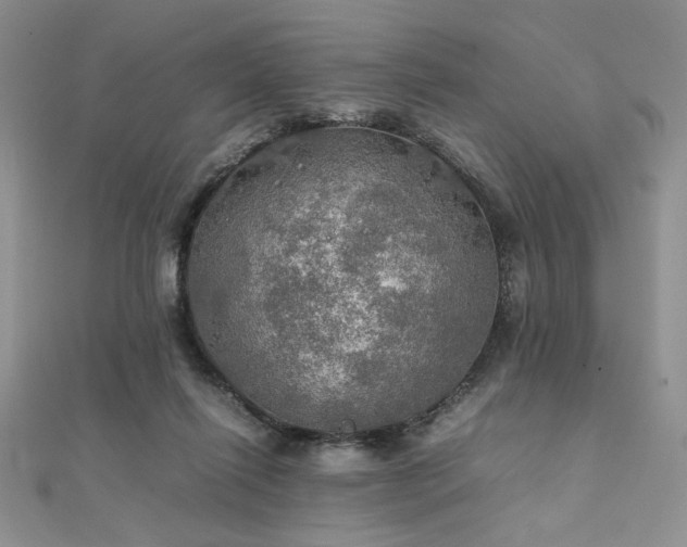 X0000112010262200908031313