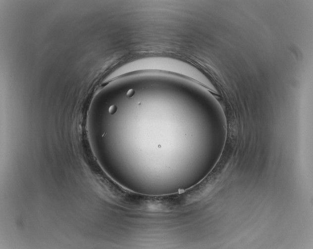 X0000112010264200908031313