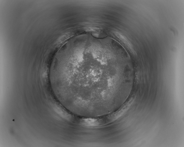 X0000112010265200908031313